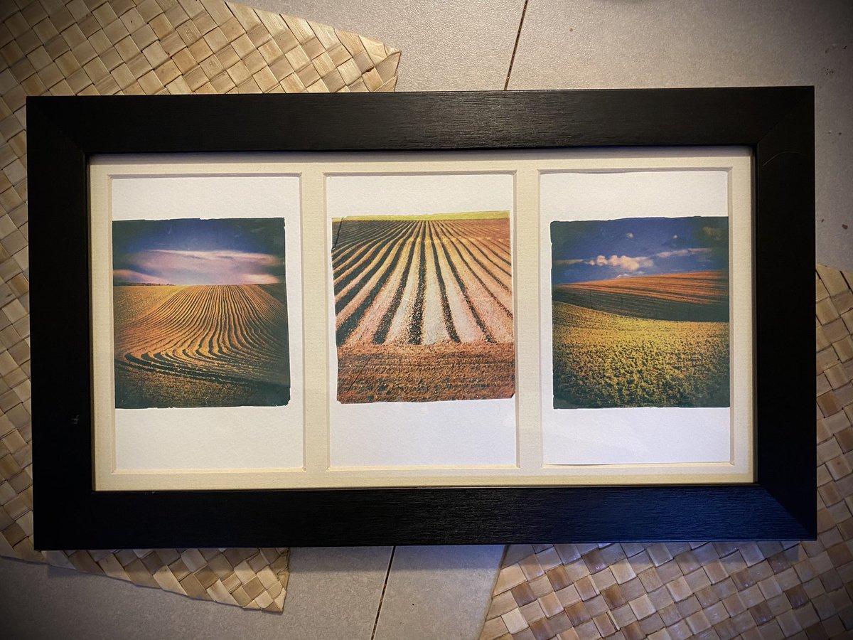 AngelGurriaQ's tweet photo. Been doing some @Polaroid emulsion lifts...
#cambridge #wandlebury #gogmagog #filmisnotdead #photography #polaroid #ThisIsCambridge https://t.co/78LWRxeaiN
