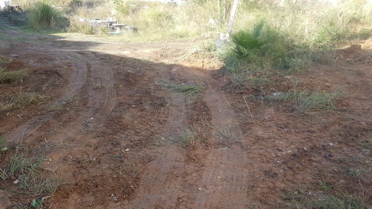 Can Trinxet Viu tweet media