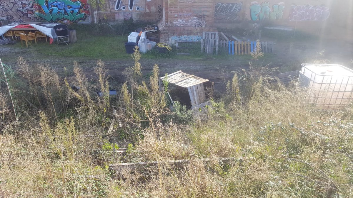 Can Trinxet Viu tweet media