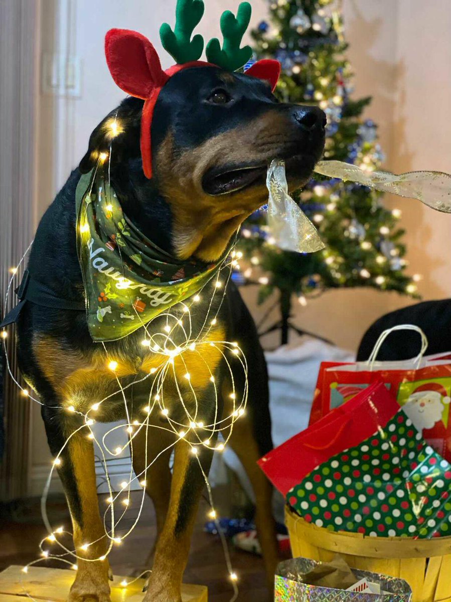 I know for some of you the isolation & missing family this  #Christmas   will be hard. We truly understand how hard it can be to  #ChooseHappiness, but I'd like to share a glimpse of our world with you so you can see why it's so important. And you can understand why I will do my 1/