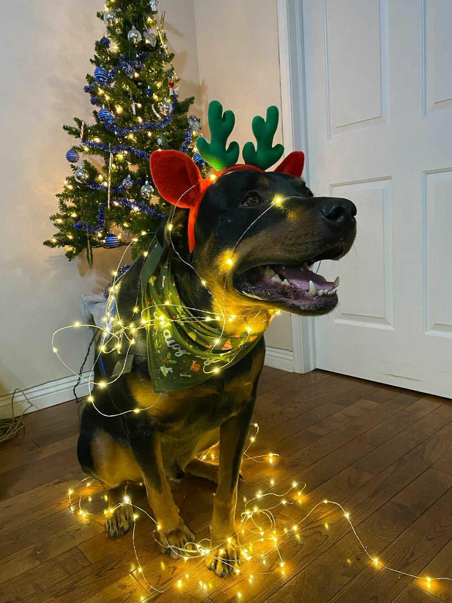 during a pandemic, but all the time. We now have  #Covid restrictions here in  #Alberta that limit us to having 2 people that can come be a social support to us. Otherwise it's just me, my Mistress who's a middle aged woman with no legs, & retired Service dog Roxy. It could 3/