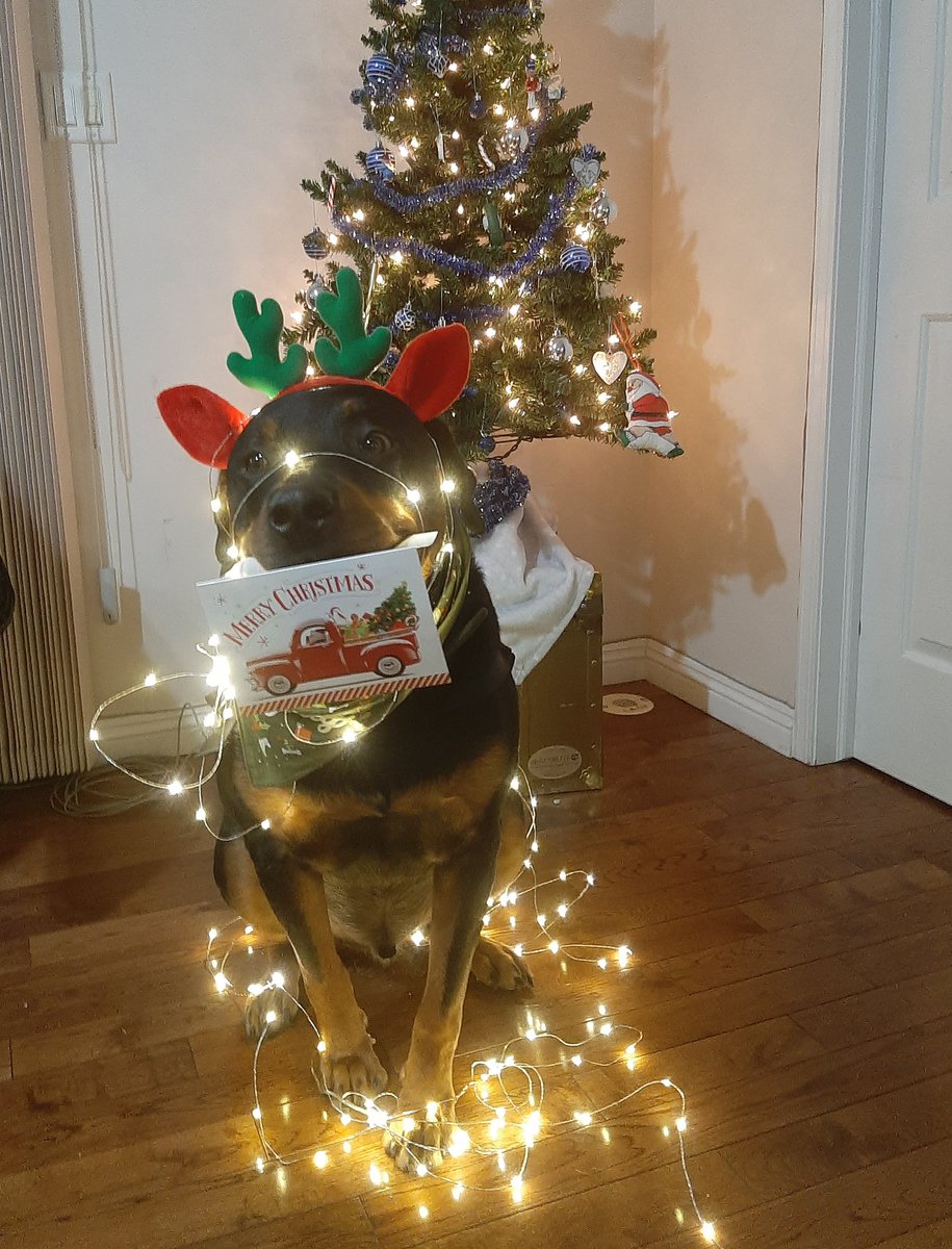 be very lonely if we let. I'm pretty sure there's days when my Mistress would rather just stay in bed & resent the fact that so much of the world is out of her reach. In fact, it would be really easy for her to only drag herself to her wheelchair to go to the bathroom & then4/