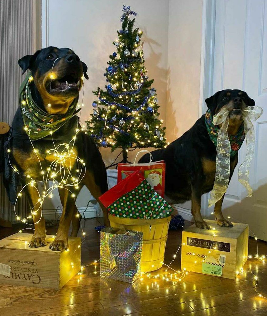 go hide under the covers & fall prey to self pity. But wouldn't that be a horribly sad, meaningless life?Choosing misery is easy. To  #ChooseHappiness is hard work & takes commitment. But for us it's vital. That's why every morning we get up & instead of just going for a quick5/