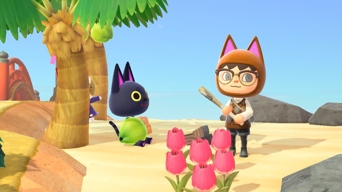 Ashimalxing's tweet photo. #AnimalCrossing #ACNH #NintendoSwitch https://t.co/lwQn0xqNy9