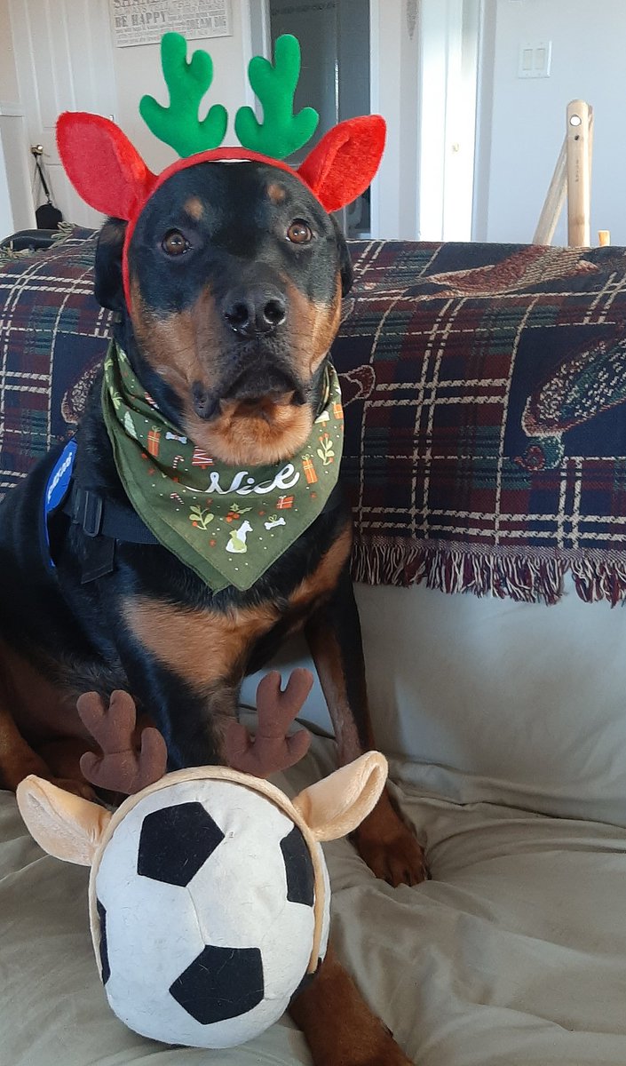  #ChristmasMagic. It's very important we share that with others. It keeps her from going to a dark place, and maybe helps others to stay out of it as well. Covid & the restrictions can't ruin  #Christmas  , being apart from family can't ruin it. Choosing misery & anger can.10/