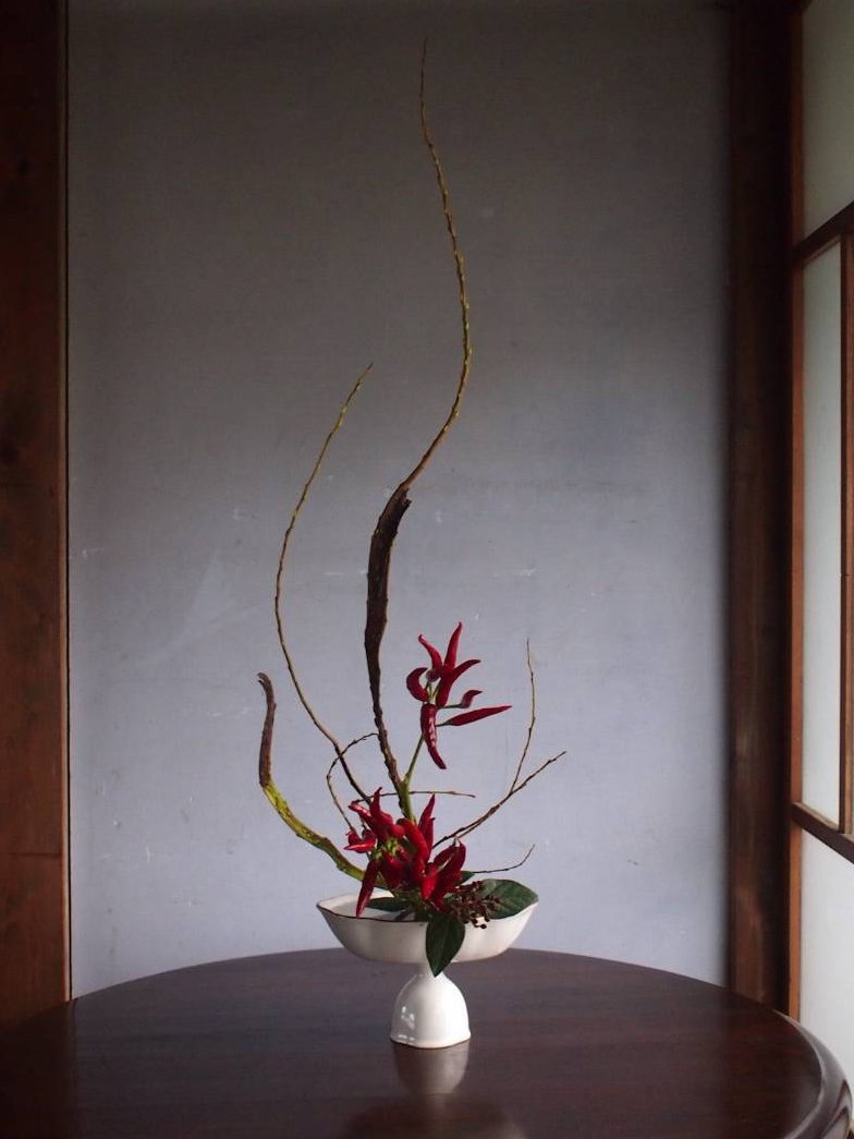 tenmadoTK's tweet photo. 師走の忙しい時期ですが、花いけのワークショップを開催して頂きます。非公開の予定でしたが、折角の機会ですので数名ご予定の合う方に。

ご希望の方はDMにて、ご連絡下さい📮

日時：12/26（土）13:00~
場所：天窓
会費：5,000円
持物：タオル
講師：mayu araiさん（https://t.co/xL8s8cTgny） https://t.co/aHaEYcKFQk