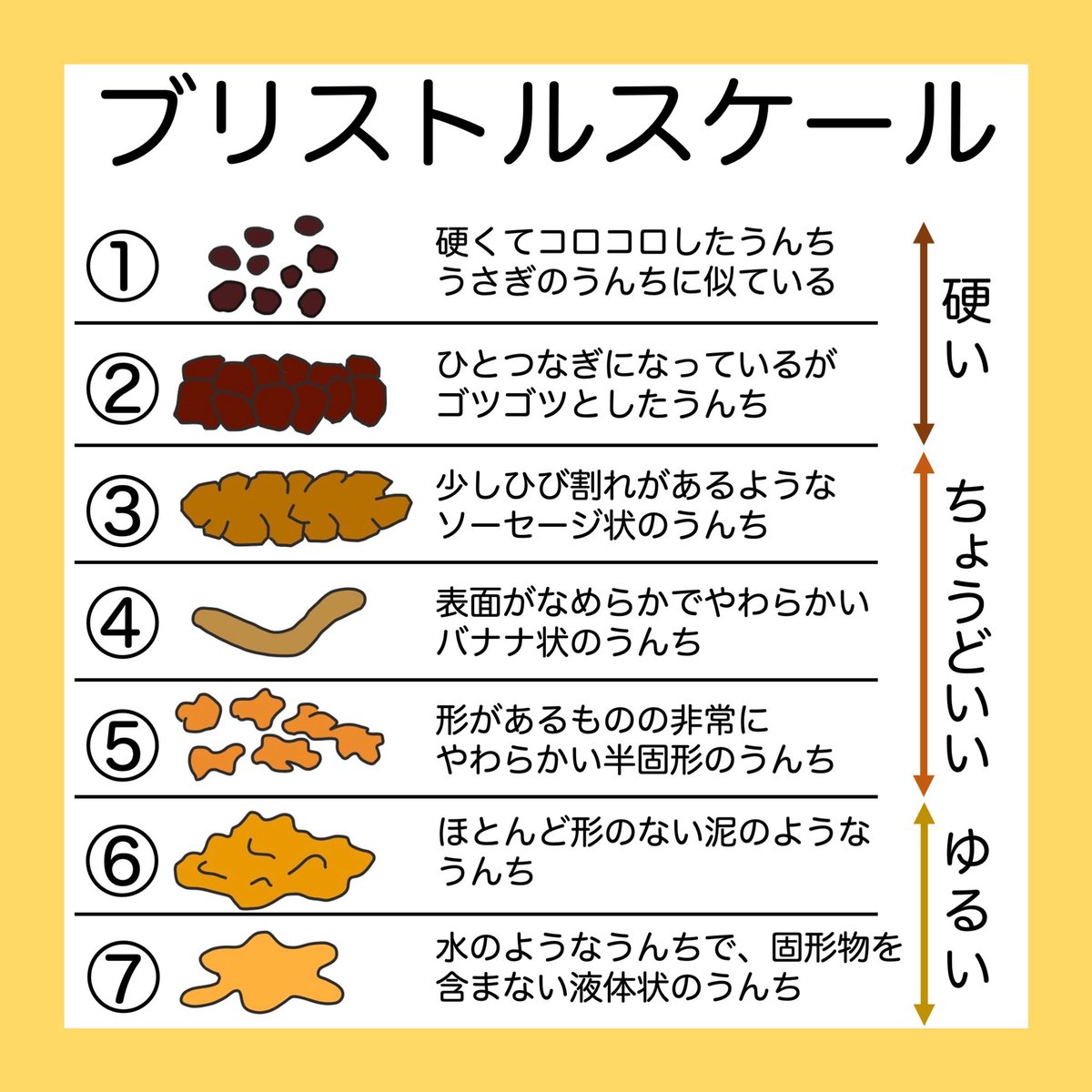 新潟大学小児科学教室 ブリストルスケール はうんちの状態を正確に把握し表現するのに有用です 便秘 でも 胃腸炎 でも使えます 日毎に記録することで最近の変化も捉えることができます 活用方法を具体的にご紹介させていただきましたが 他にもありま