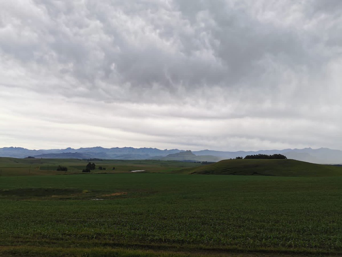 wildlifeact's tweet photo. We have some bad weather rolling in... as if the gruelling 21km wasnโt enough of a challenge for our #RhinoReakChallenge runners.
@RhinoPeakC #RPC2020 https://t.co/3PcSLJjUsm