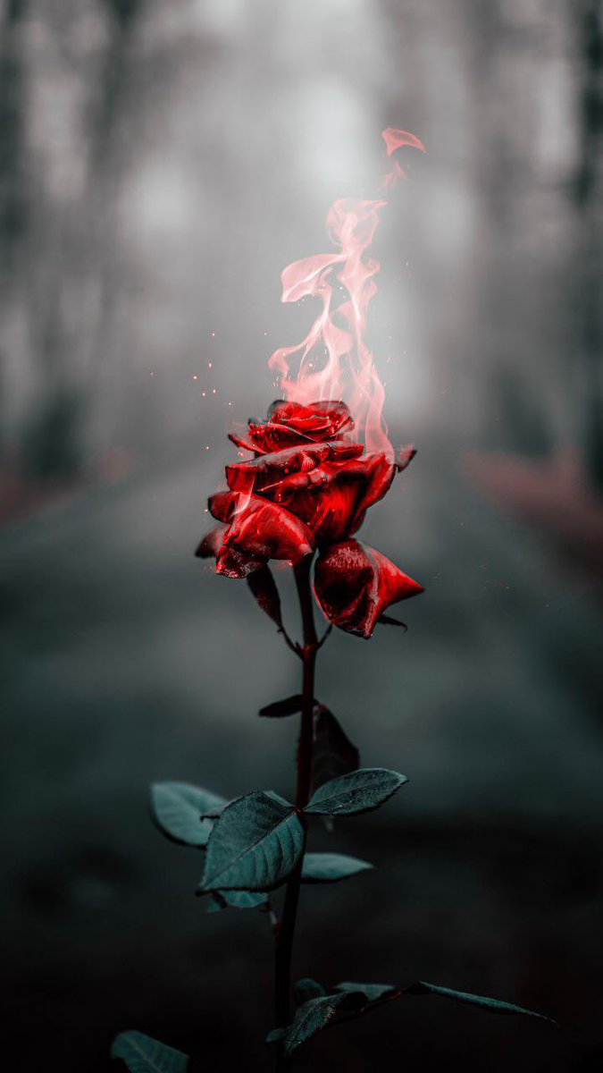 Weekend wallpaper thread anyone ?