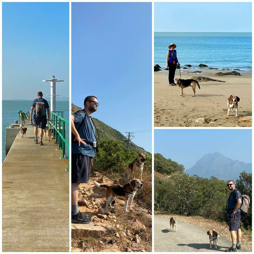 More #hiking with dogs! From #taio to #shekpik : #Lantautrail stages 7 & 8. Stage 7 is supposed to be “3 stars” but it wasn’t difficult at all?? Beautiful views and an interesting part of Lantau which we will further explore another time. Stage 8 is following the water catch…