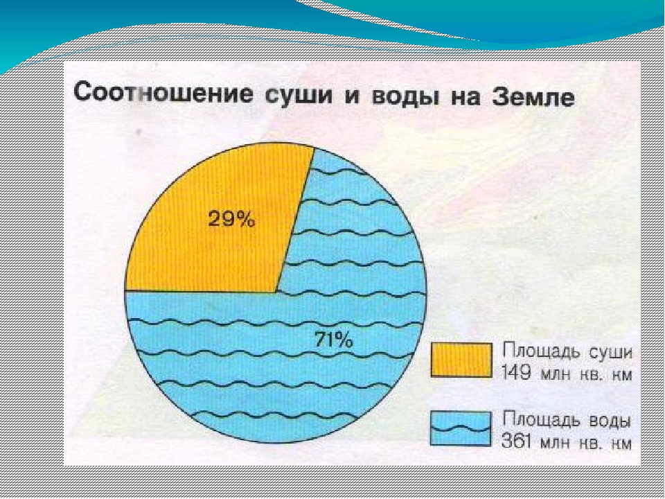 Сколько места на Земле занимают вода и суша vseznayem.ru/pochemuchki-o-…