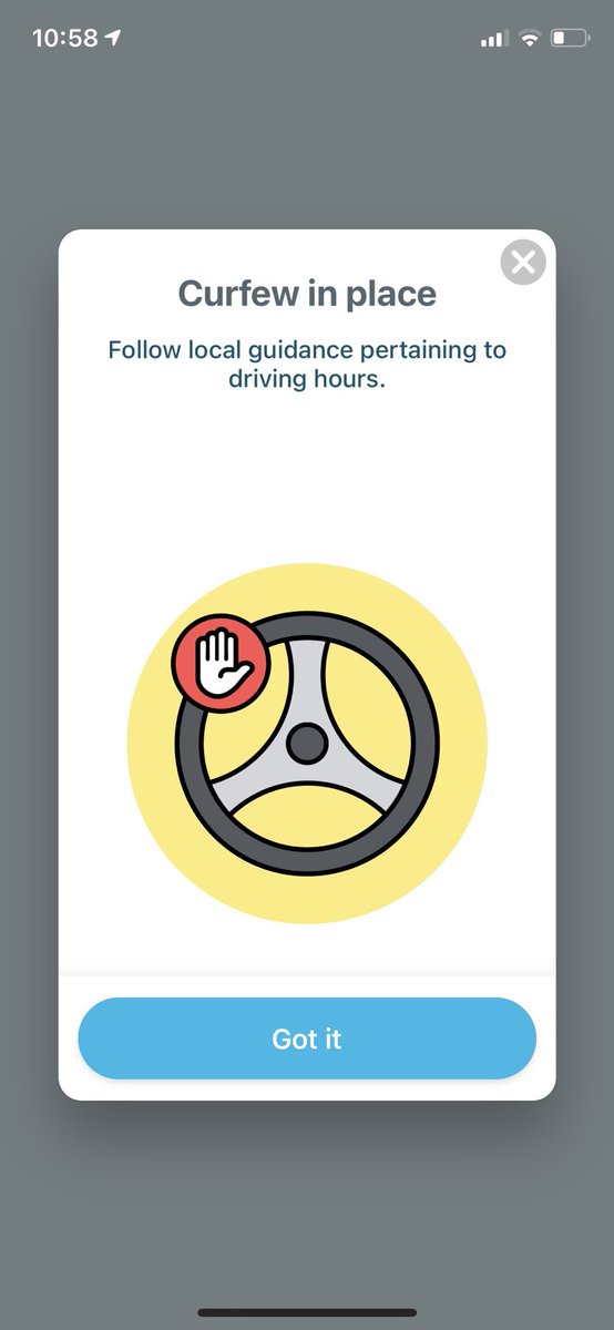 Bee-in-cali tweet media