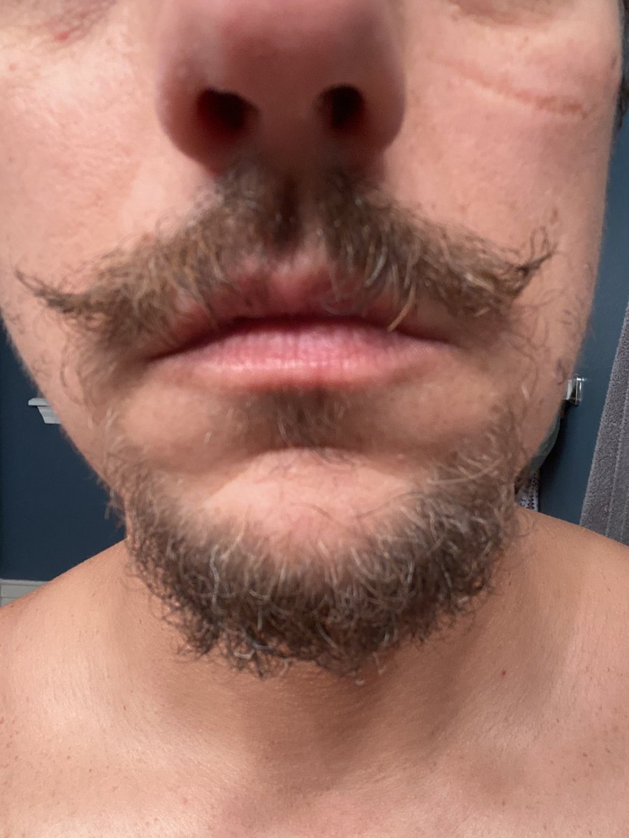 bvgee's tweet photo. My night in a nutshell😎
Hide yo IPAs. https://t.co/1le4aCssB1
Stop sweatin the ‘stache @Colin_Selby40 😎 https://t.co/jmm7x83Bdu