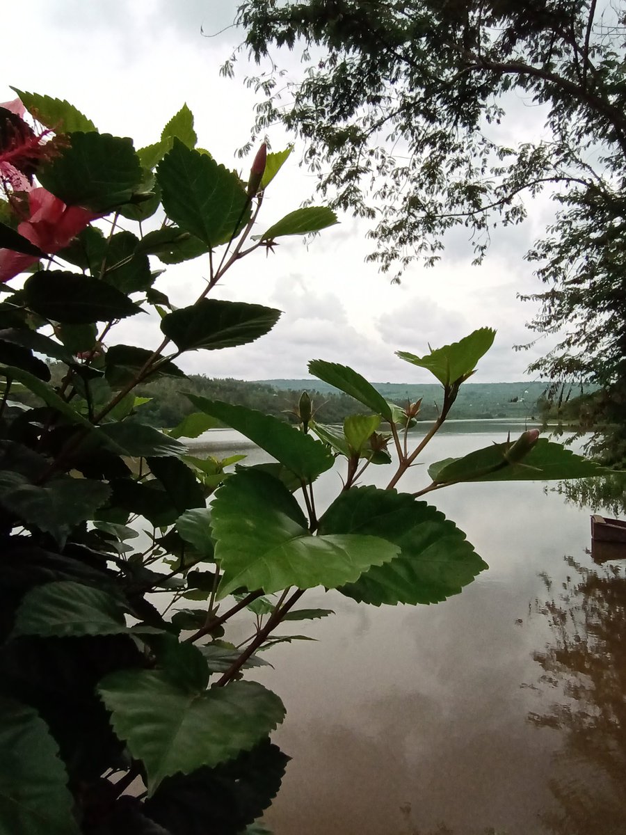 ClaudeKarangwa's tweet photo. Drop pictures you took with your phone 😉 #PhonePhotoChallenge

Mine: https://t.co/tOQIaoxaXS