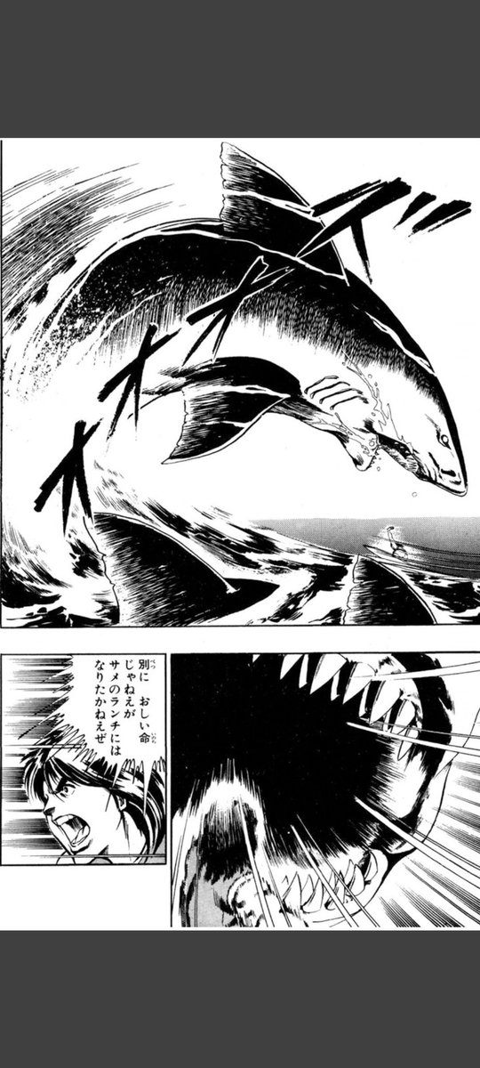 ハテナのアライさん サメ映画とかのレアなネタ 海の戦士 19 サメ映画ではなくサーフィン 漫画なのだ バトルが中心でメガロドンどころか メガシャークみたいなサメが大群で襲ってくるのだ サメ映画 海の戦士 ハテナのアライさん ハテナのアライさん サメ映画とかのレアなネタ 海の戦士 19 サメ映画ではなくサーフィン 漫画なのだ バトルが中心でメガロドンどころか メガシャークみたいなサメが大群で襲ってくるのだ サメ映画 海の戦士 ハテナのアライさん