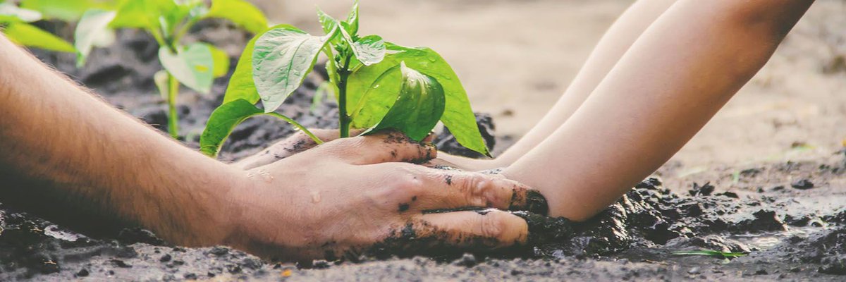 soilmentor's tweet photo. Really enjoying exploring the new #uksoils website - lots of inspiring info and soil projects to read up on! 🌱🌱 https://t.co/X0lwV8c7iU @SoilsAlliance https://t.co/b9rKqGuJwq