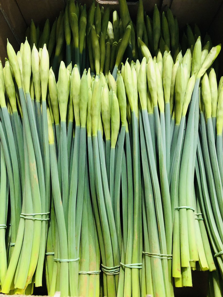 TOTAL CORNWALL tweet media