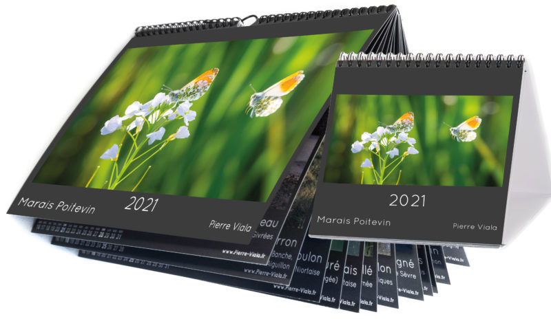 pierre_viala's tweet photo. Pas de #marchédenoel cette année, mais vous pouvez commander mon #calendrier 2021 avec mes #photos du #MaraisPoitevin en ligne https://t.co/RI6QjyfwCS 
Et aussi le trouver à la @LibrairieHalles ou chez Mojettes &amp; Cie à #Niort ainsi qu'au Marais Givré à #Coulon #cadeau #Noël https://t.co/qUAyphJhYC