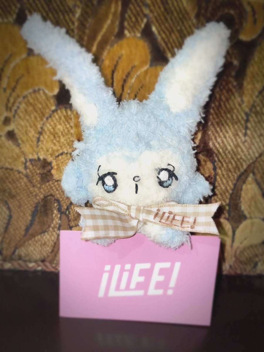ポイントカード特典発表🐰 10pt サインなしチェキ1枚 20pt サインあり
