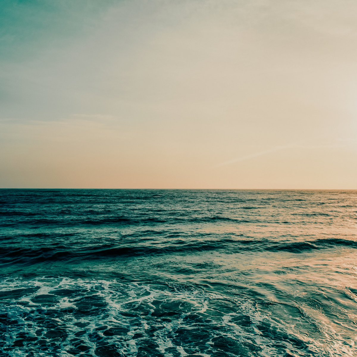 CoffeyHouseProd's tweet photo. 🎥 CREW CALL 🎥
Sound recordist needed for two day shoot in Co.Down (Portavogie) on the 15th and 16th December for short film ‘Where the Sea Meets the Sky’.
DM or contact rachelcoffeyproductons@outlook.com
#StudioNI #ArtsNI #CrewCall #SoundRecordist https://t.co/uudAguKkcf