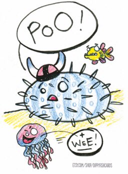 Today I’m feeling childishAs I’m sure you all can seeCos here’s an urchin and his palShouting POO AND WEE  (And no I won’t be “growing up” - you’re not the boss of me... ) #illo_advent2020  #illustrator  #childish