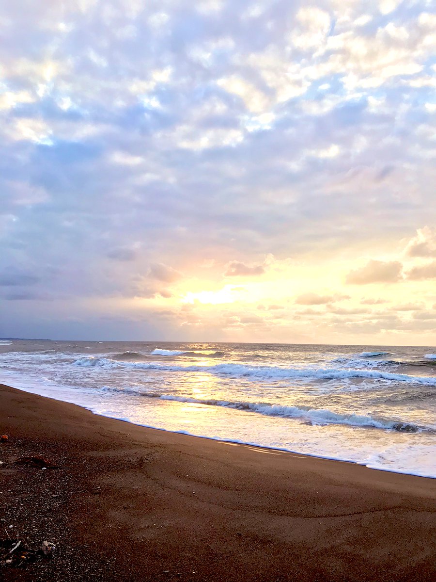 むらさきもふ虫 海を満喫してきました 寒さで死にそうだった 風力発電の風車大きいね 下にいる小さい人がはは虫です ᴗ
