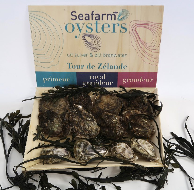 viswaasdorp's tweet photo. De lekkerste #Vissoep #Kreeftensoep #Bisque zijn gemaakt voor de komende #Feestdagen dat wordt weer #Genieten Ook Ovenklaar gekookte #Kreeft kunt u bij ons bestellen en Top #Oesters #Lokaal en #Gezond Haal uw bestelformulier in de zaak of download deze van onze site! https://t.co/gEiXhW5OkL