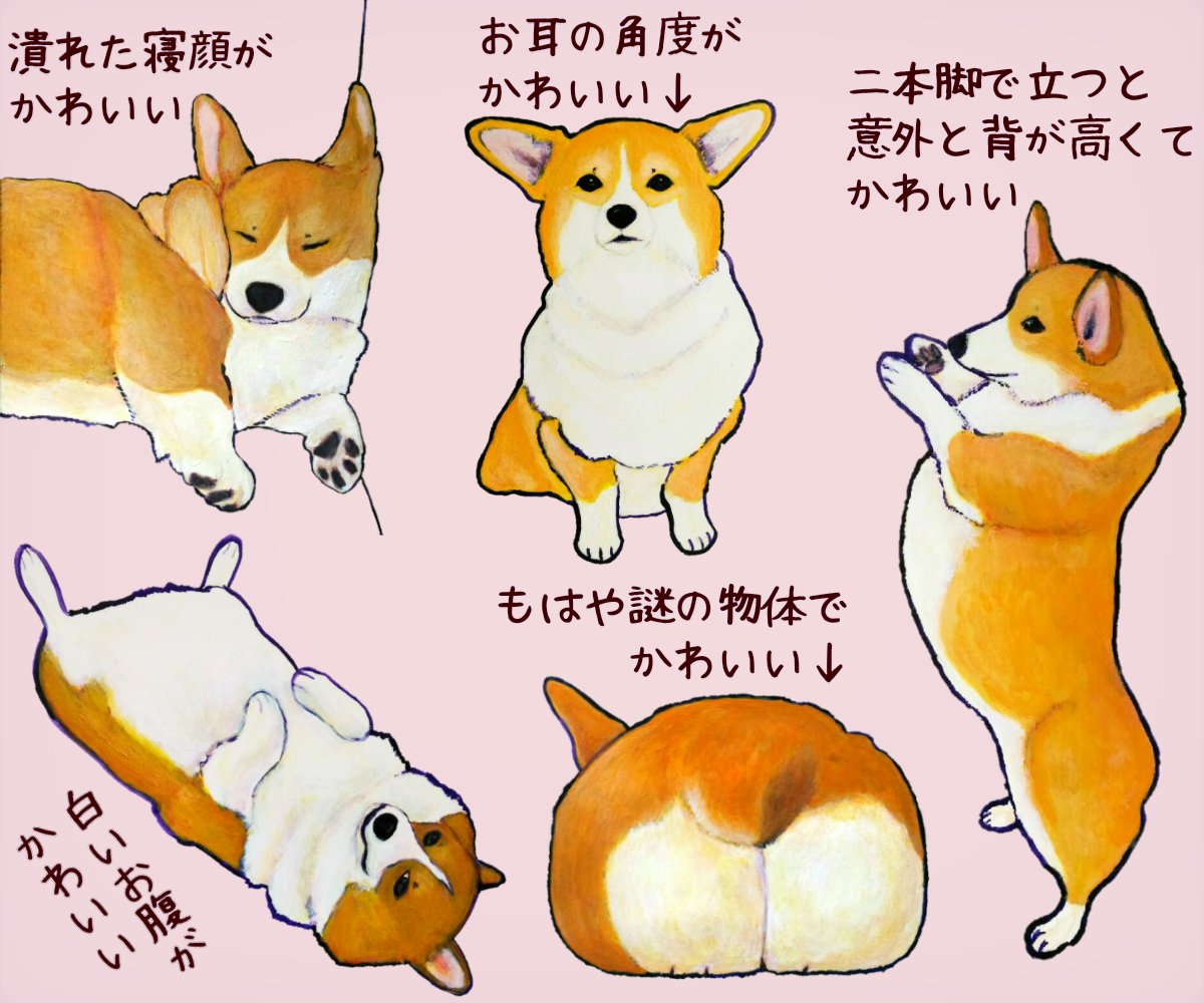 タグ コーギーイラスト の注目ツイート メガとんトラック