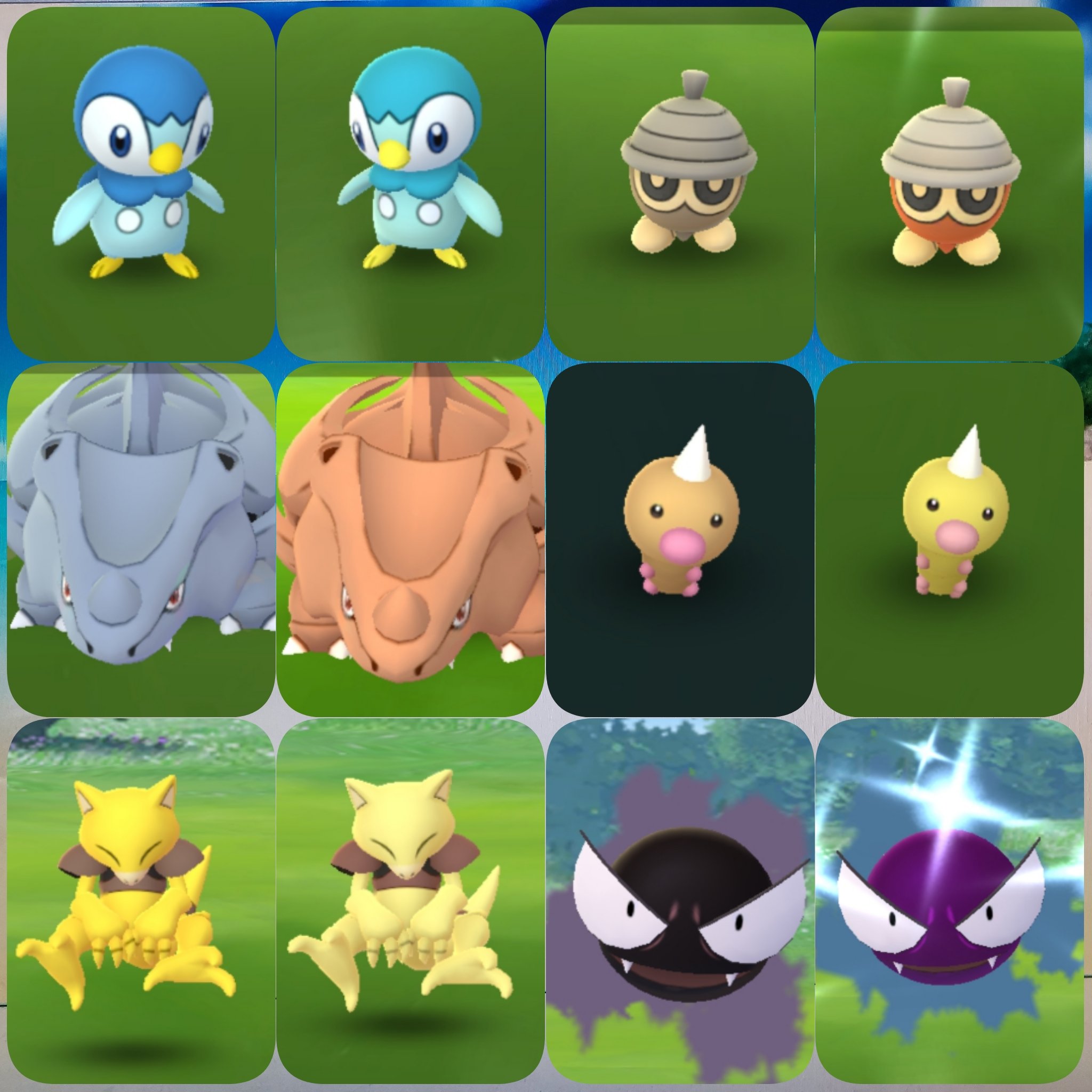 تويتر Amazinghisa على تويتر 今日のポケモンgo活動1 コミュニティ1日目お疲れ様でした 色違いは計29匹 ノ 内4匹はピカブイや剣盾に移送済み あまり参加できなかったケーシィが最多の9匹光りました ポケモンgo コミュニティデイ ポッチャマ