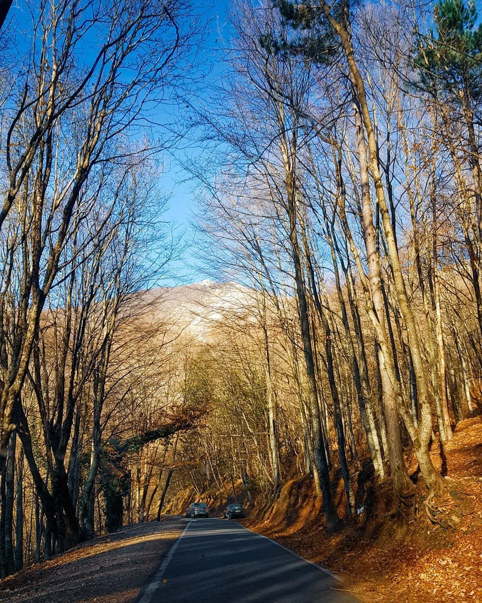 VisitTirana's tweet photo. Dajti Mount is perfect place to go and relax 🤗🍁🍂 #Tirana #Albania 

Foto: Armida Plumbi https://t.co/abVtFXlV91