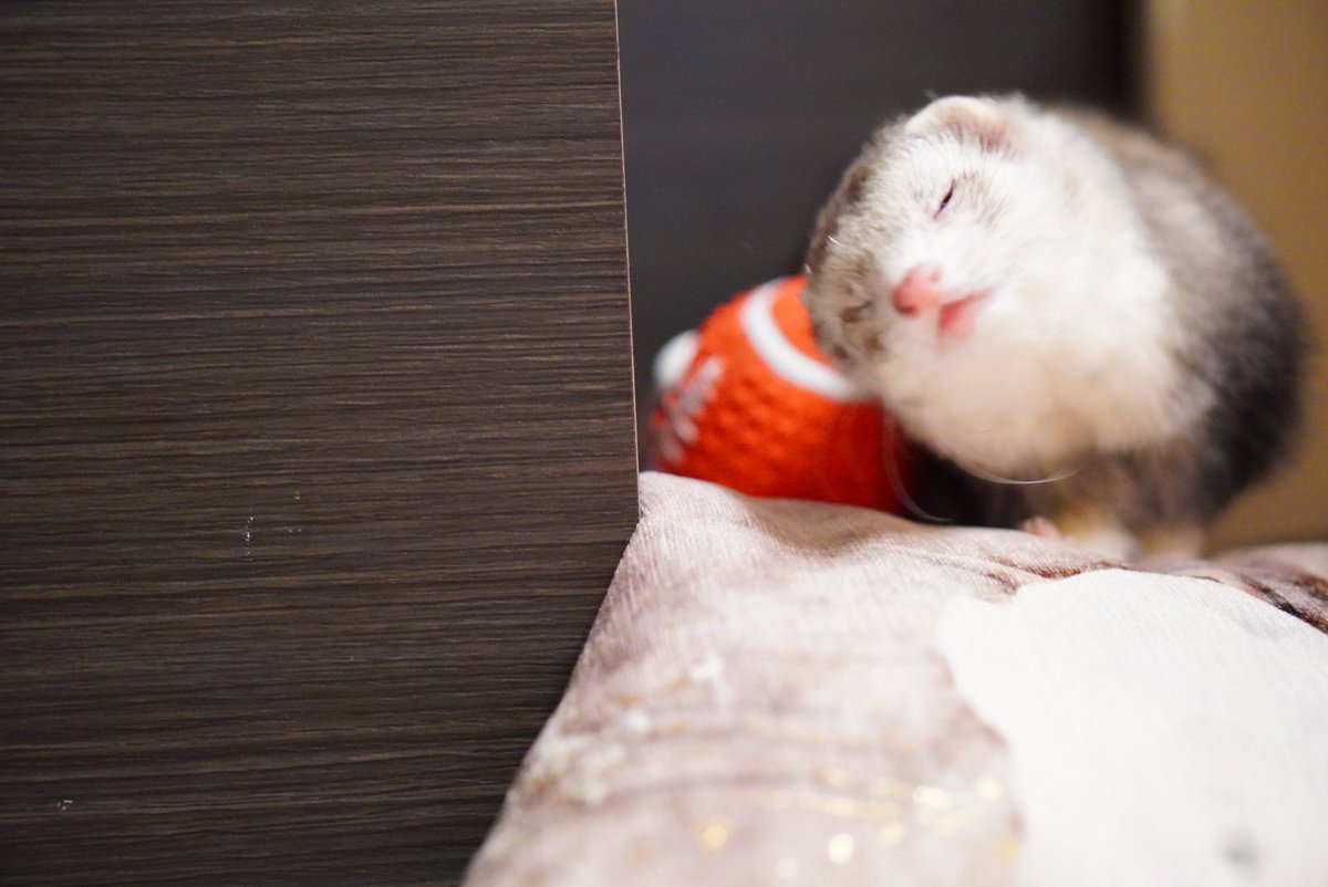 ハンプティダンプティのシルエットに見えた🥚