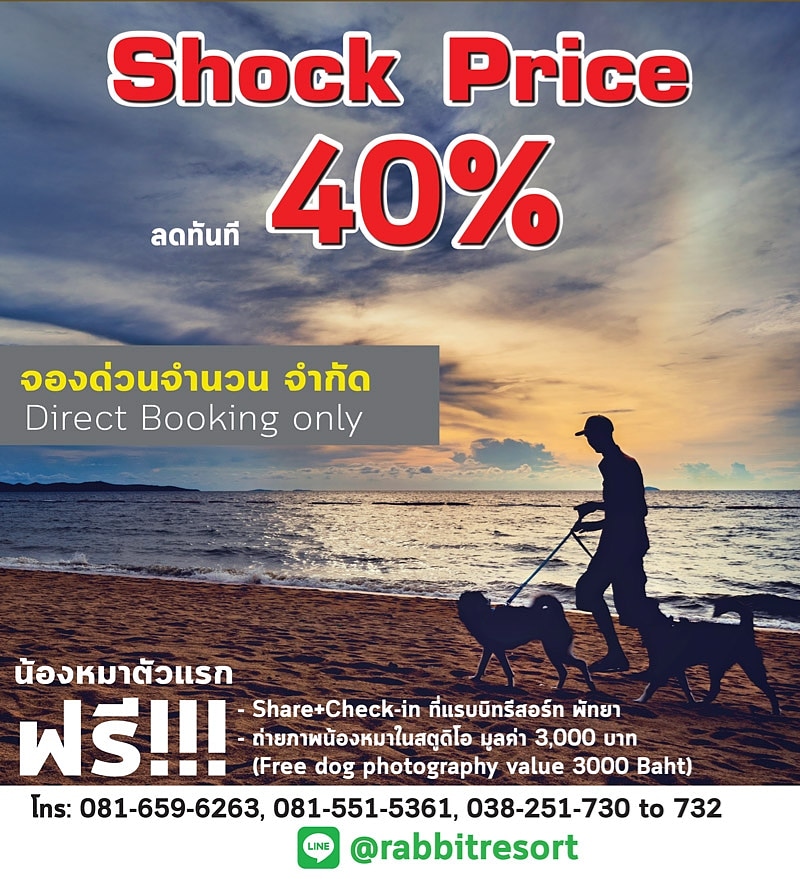 💥💥Shock price!! 40% off💥💥
#ที่พักหมาพักได้ #น้องหมาเข้าได้ #น้องหมาพักได้ #รีสอร์ทติดทะเล #petfriendly #petlovers #petfriendlyhotel #petfriendlyresort #pattaya #rabbitresort #dongtanbeach #rabbitresortpattaya