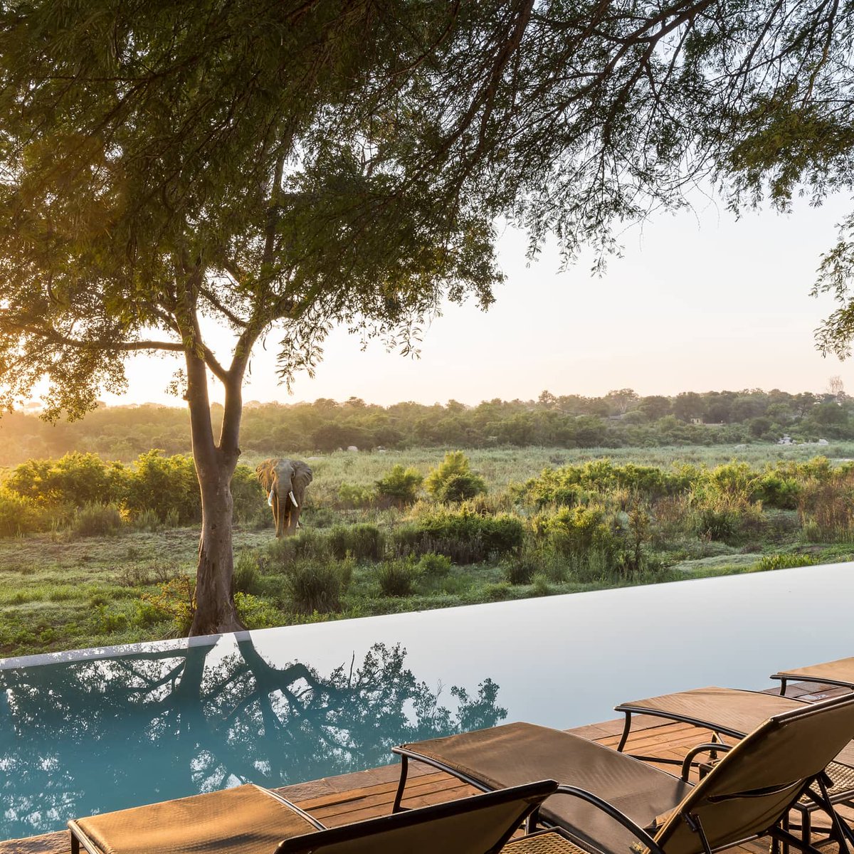 thejaxblog's tweet photo. 🍾✴️INCREDIBLE INSTAGRAM TRAVEL GIVEAWAY JUST DROPPED 🍸🥂🎉😘 Hurry up enter now: https://t.co/G7XvGmAEx3 #TheJaxBlog #WinWithTheJax40 https://t.co/8IrDxMnPss