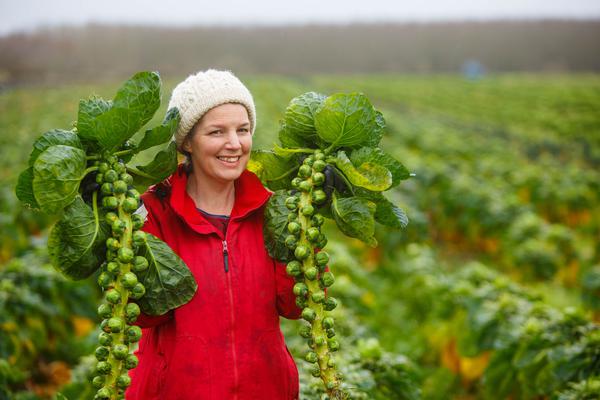 Make sure to pick up a copy of <a href="/Independent_ie/">Irish Independent</a> today! Great piece by <a href="/katymcguinness/">Katy McGuinness</a> in <a href="/IndoWeekend/">Weekend Magazine</a> about 'the Irish producers who make Christmas dinner magic'! Including, of course, our own Úna!
Buy a copy or subscribe here: independent.ie/life/food-drin…
Super pics by <a href="/jeffharveyie/">Jeff Harvey</a>!