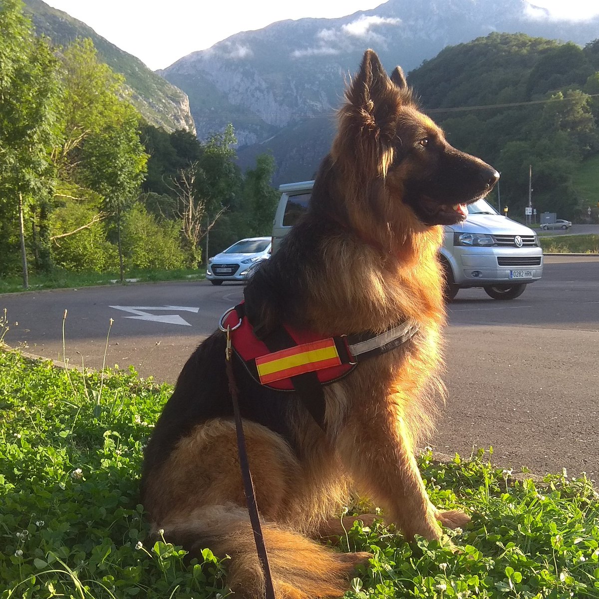 Winston Smith tweet media