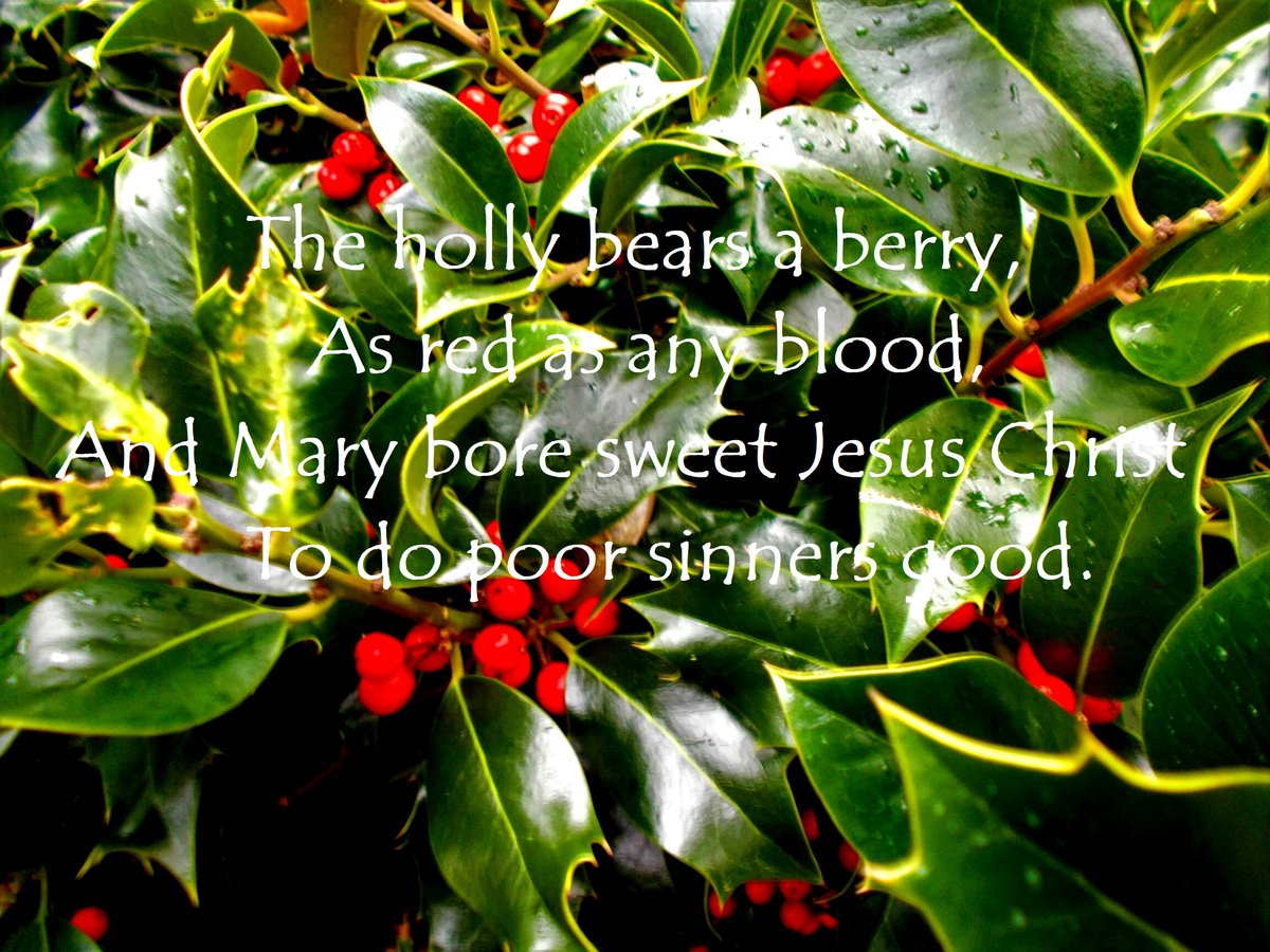 Advent Calendar   - December 12th

#christmasisntcancelled #ComfortAndJoy #christchurchlye