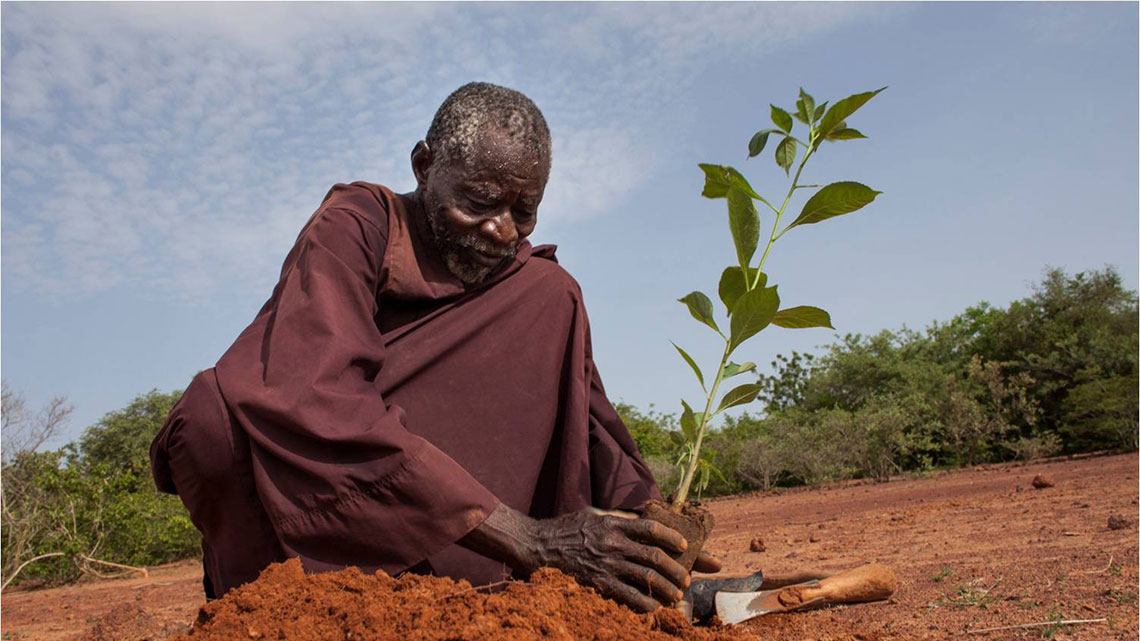 Lefaso_net's tweet photo. #BurkinaFaso Pour avoir enseigné sa solution traditionnelle fondée sur la nature pour régénérer les sols, Yacouba Sawadogo, prix Nobel alternatif 2018, a reçu vendredi le prix « Champions de la Terre 2020 », la distinction environnementale la plus prestigieuse décernée par l'ONU https://t.co/yHq74Kmayi