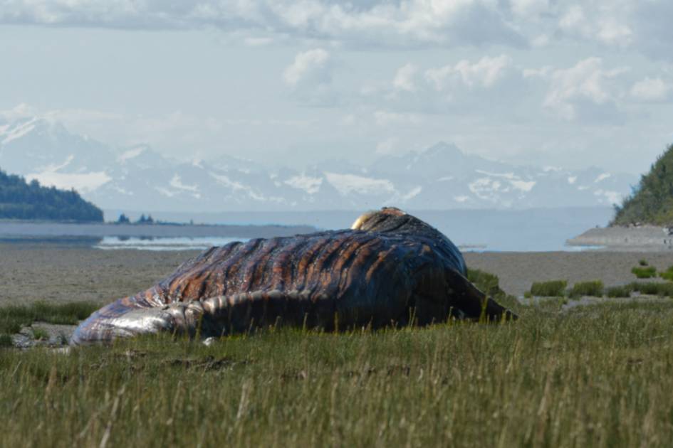 裏でこっそり付き合ってそうな二人
