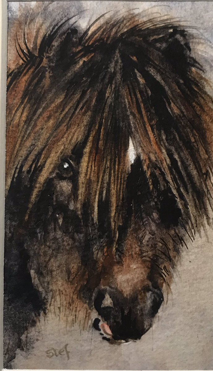 Painting again on dull December day.
#shetlands #pony #painting #art     #Christmas.                                       stefottevanger.co.uk