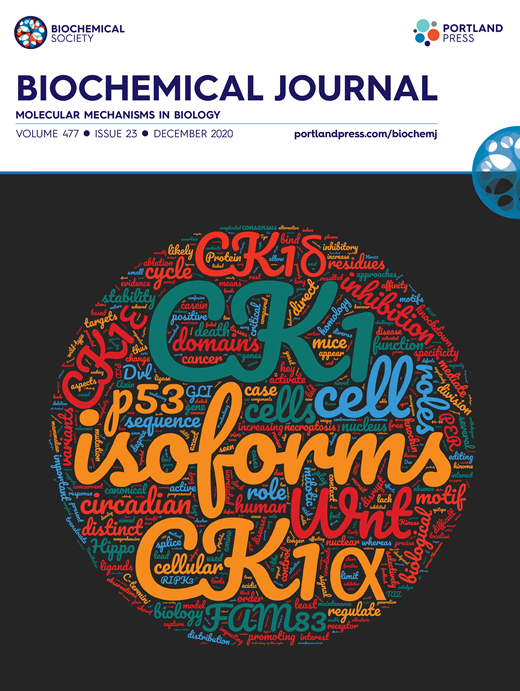 Gopal Sapkota (@gpsapkota) on Twitter photo Congratulations Luke Fulcher for publishing Cover Article in Biochemical Journal, on the functions and regulation of CK1 isoforms. portlandpress.com/biochemj/issue…. Impressive how word cloud captures the functions of CK1 isoforms! <a href="/mrcppu/">MRC PPU</a> <a href="/UoDLifeSciences/">UoD Life Sciences</a> <a href="/sapkota_mrcppu/">Sapkota Lab</a> <a href="/PPPublishing/">Portland Press</a> Congratulations Luke Fulcher for publishing Cover Article in Biochemical Journal, on the functions and regulation of CK1 isoforms. portlandpress.com/biochemj/issue…. Impressive how word cloud captures the functions of CK1 isoforms! <a href="/mrcppu/">MRC PPU</a> <a href="/UoDLifeSciences/">UoD Life Sciences</a> <a href="/sapkota_mrcppu/">Sapkota Lab</a> <a href="/PPPublishing/">Portland Press</a>