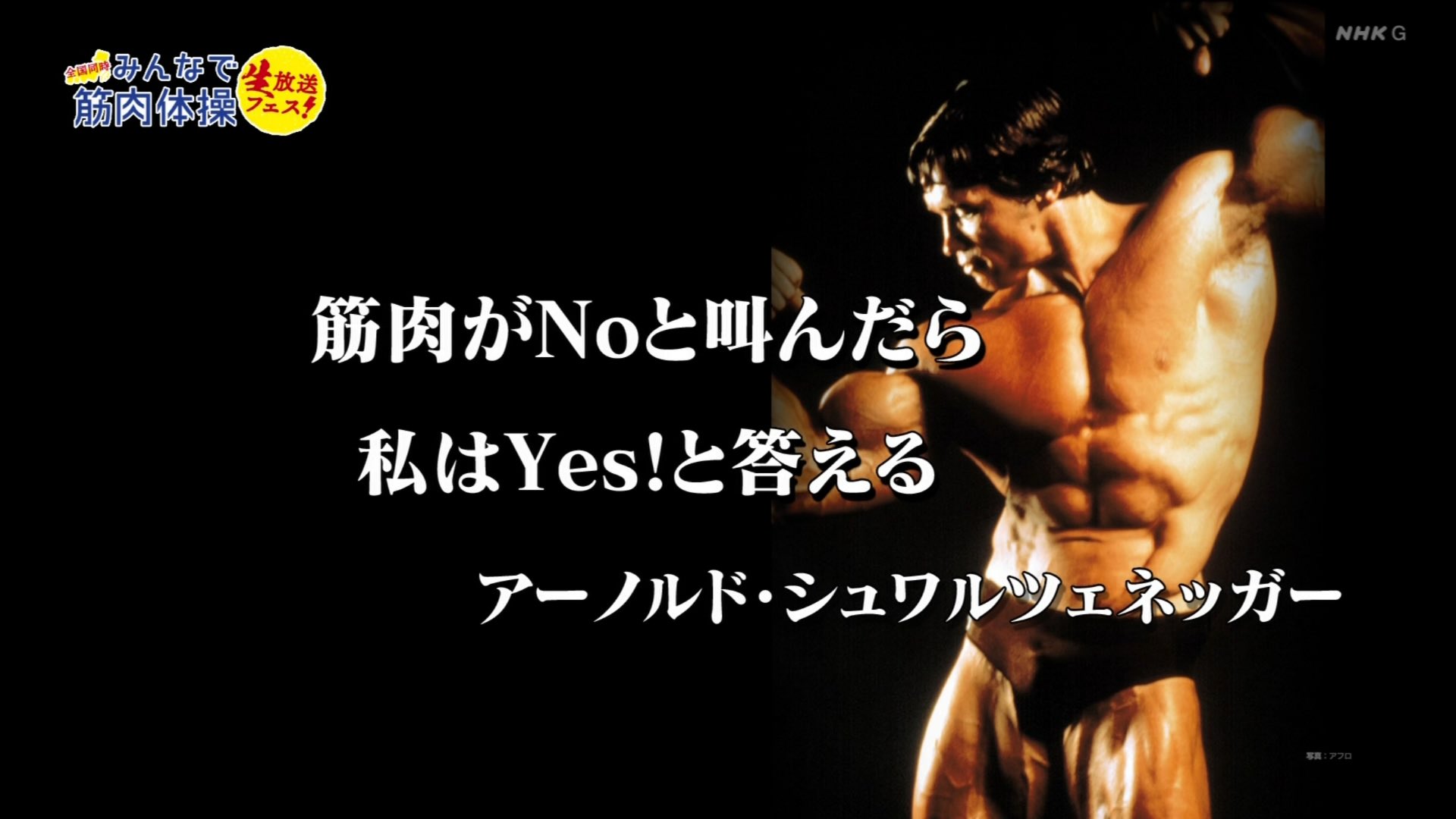 タンクトップdj あらき じん 筋肉が No と叫んだら 私は Yes と答える これは全てに通用する名言 筋肉体操 筋肉は裏切らない T Co Bnasck0czn Twitter