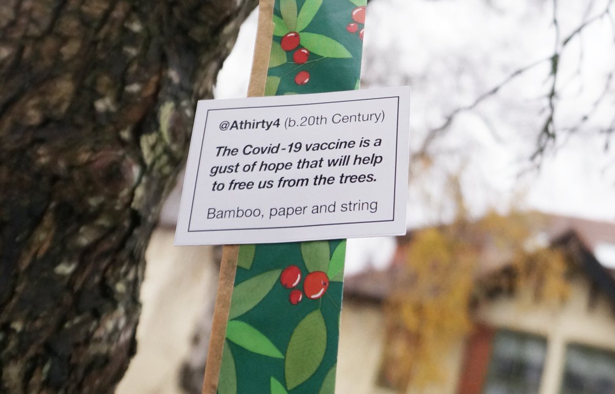 Athirty4's tweet photo. My Stapleton Road kites. So paper thin; so vulnerable in this inclement climate.
#jennerinstitute #Covid_19 #vaccine
@doctor_oxford   @eugenegu. @DuPriestMath @shantanunandan2 https://t.co/nADbGJmPaA