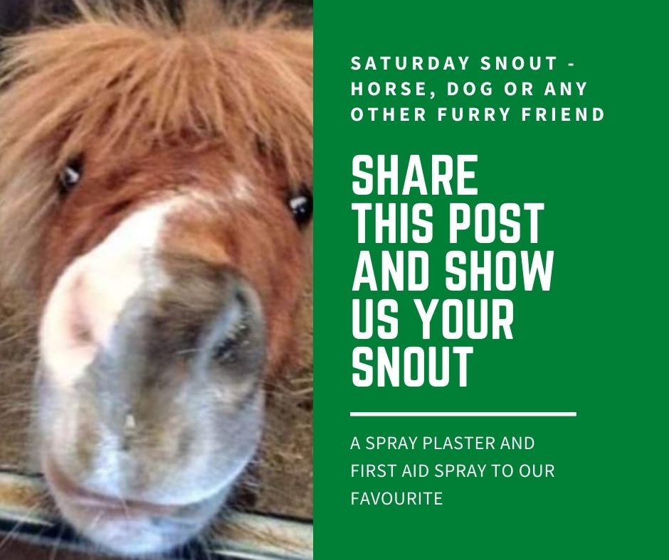 Aqueos (@aqueoscare) on Twitter photo It's Saturday Snout time. Share this post with your friends and show us your favourite snout to be in with a chance to win a spray on plaster and first aid spray. <a href="/TheGoodDogGuide/">The Good Dog Guide</a> <a href="/PetFedUK/">Pet Industry Fed.</a> @PATS_SANDOWN It's Saturday Snout time. Share this post with your friends and show us your favourite snout to be in with a chance to win a spray on plaster and first aid spray. <a href="/TheGoodDogGuide/">The Good Dog Guide</a> <a href="/PetFedUK/">Pet Industry Fed.</a> @PATS_SANDOWN