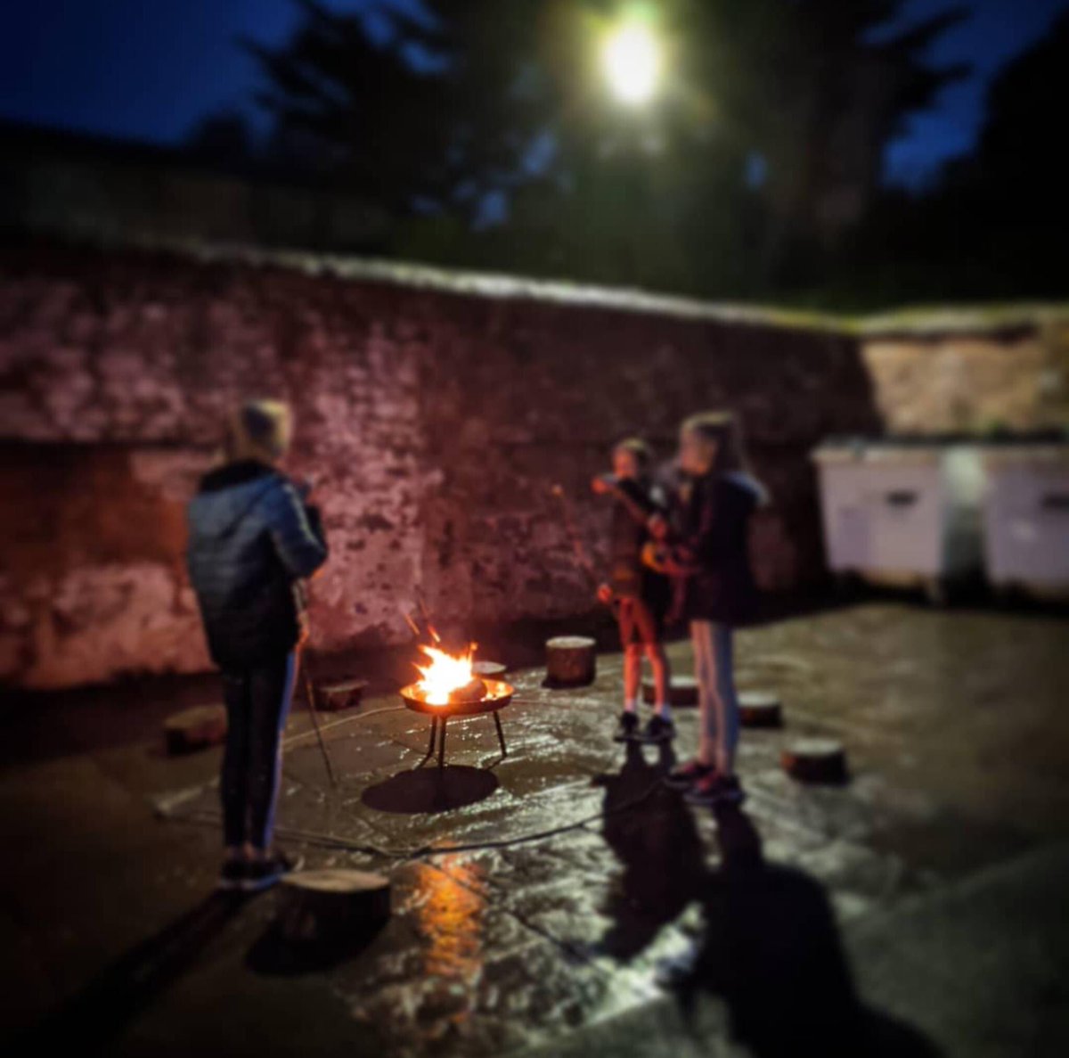 We're getting ready to welcome lots of newcomers to our Academy in Porlock today...

If you don't know what to expect, here's what our Wednesday Academy looks and feels like, as snapped by the kids...