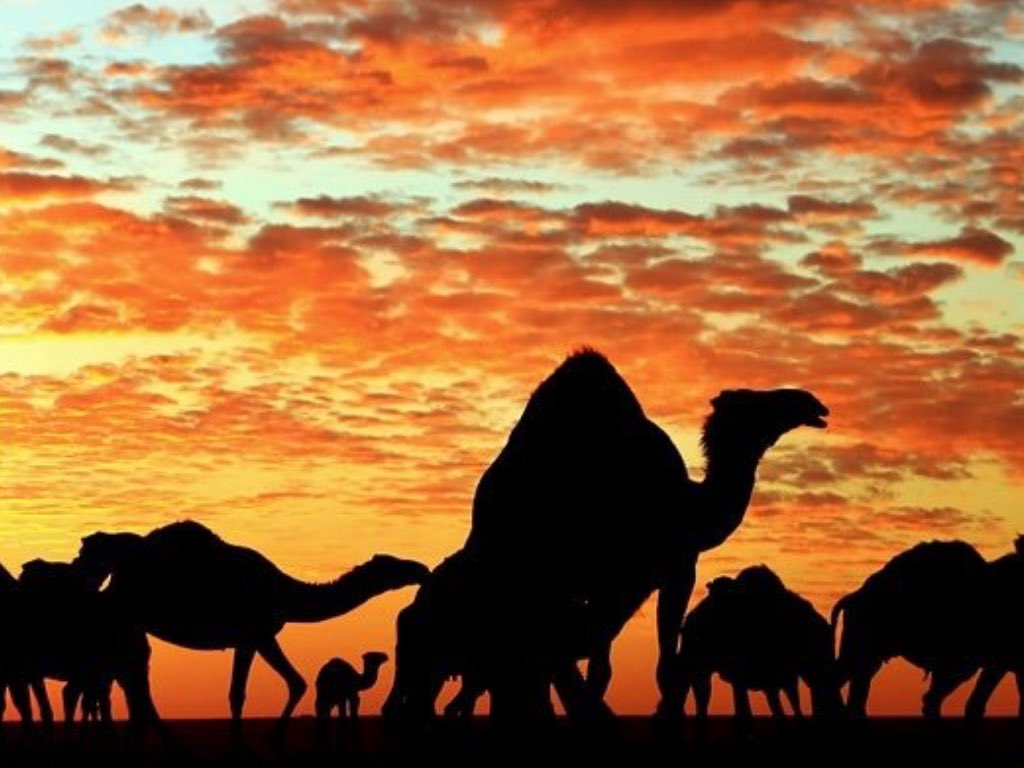 #الرياض
.لاصرت ما تمشي مع النـاس محتاج.
.
.                          .ولاجاك في بيتك من النـاس ديان .
.
ولا شلت في جيبك مواعيد وعلاج.
.
.                          .وهـذي  غنـاةٍ ما تقـدر بالأثمـان .