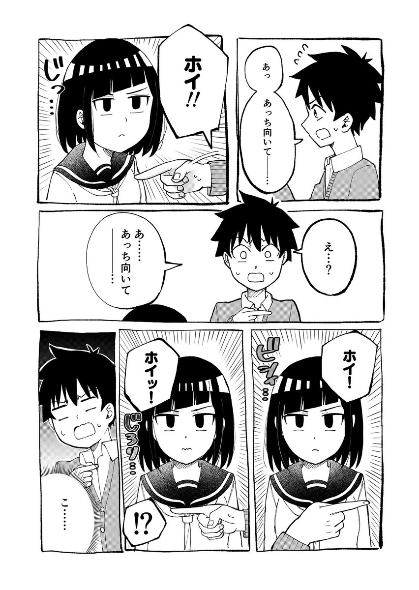 こっち向いてホイ 
