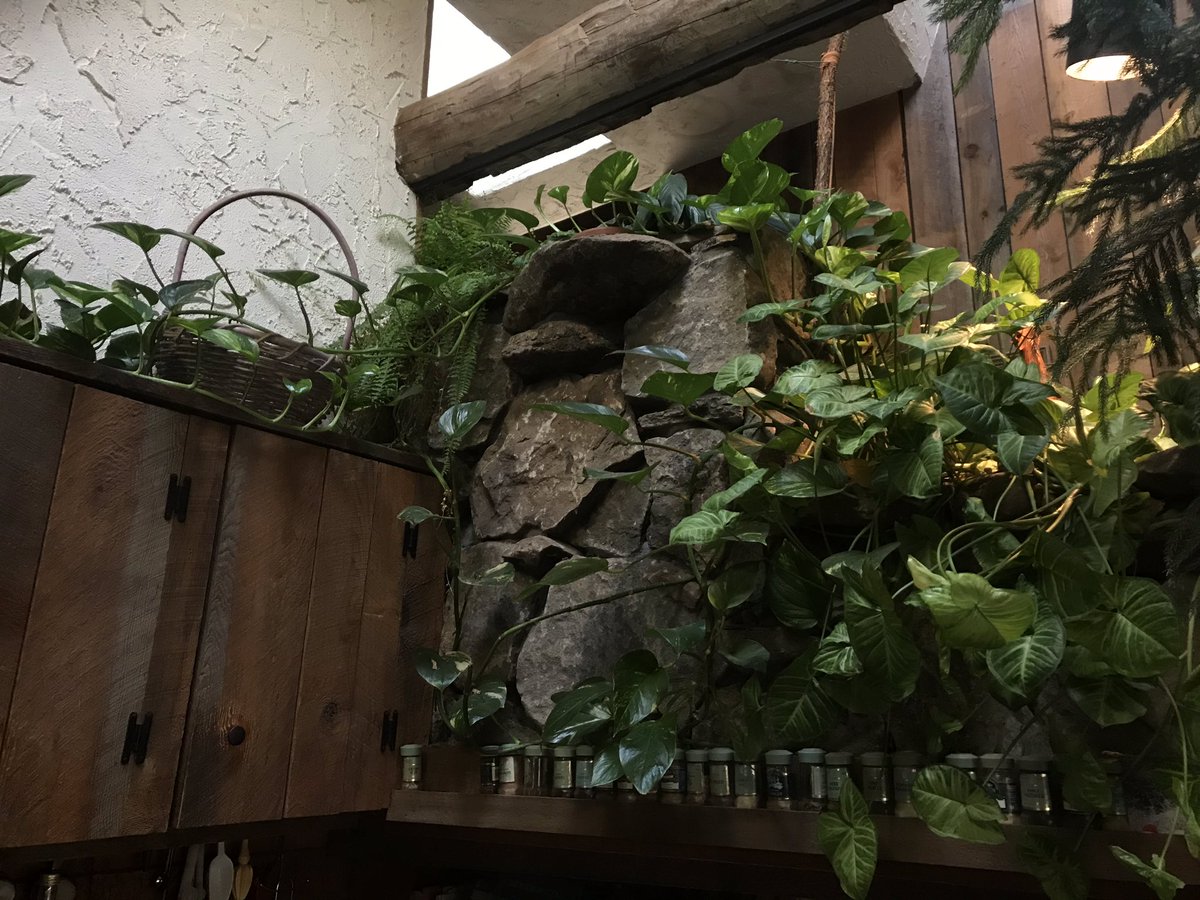 this is where I get to cook everyday 🤭🌿🥰👩🏽‍🍳