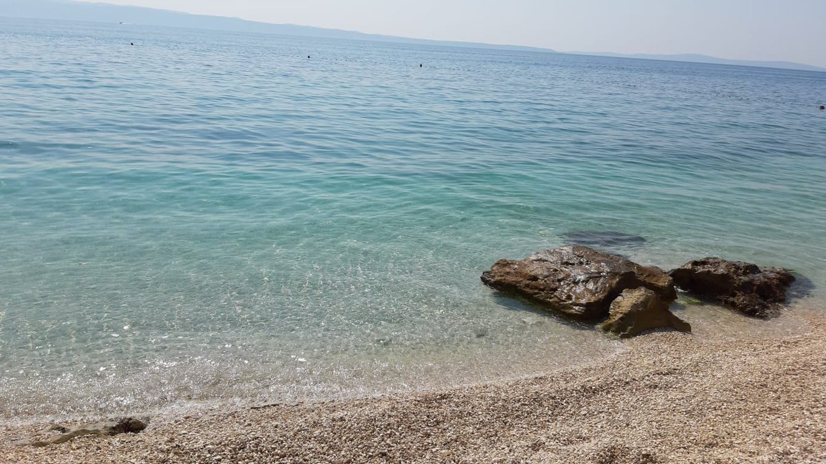 VipHolidayBook's tweet photo. 📢 Have a nice Saturday! Enjoy your weekend to the fullest! 🥰
👇
Today we are reminiscing summer... swimming in #Stobrec near #Split 🌅♥️

#Croatia #CroatiaFullOfLife #Dalmatia #summer #SummerVibes #Saturday #VIPholidaybooker https://t.co/UYeyNMOxTl