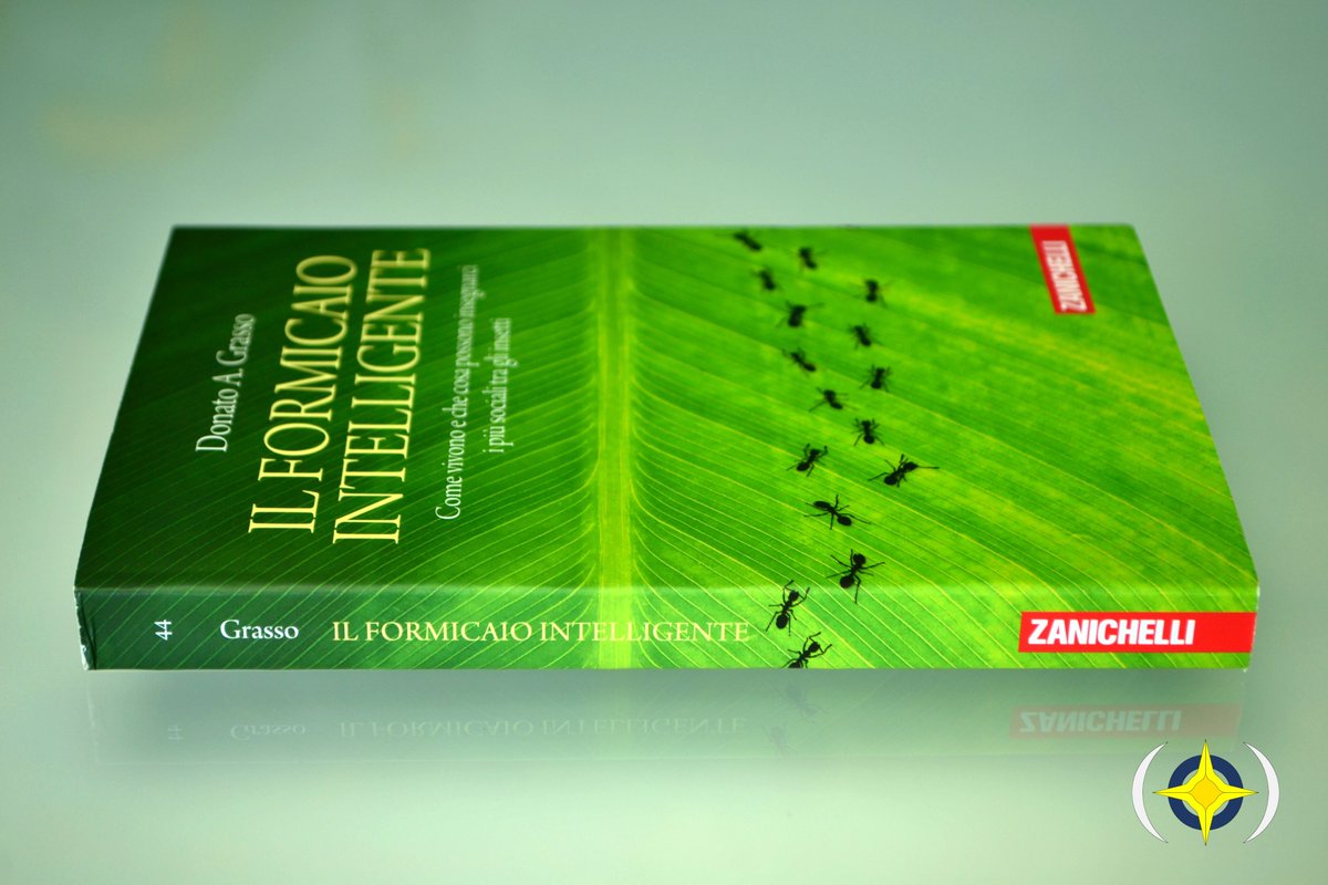 notiscientifico's tweet photo. #libri #lettura
Tra #favola e #scienza, il prof. Donato Antonio Grasso ci guida in un #viaggio con Il #Formicaio Intelligente, per osservare il #mondo delle #formiche e capire come le loro #potenzialità siano utili per la #società umana e la #tecnologia.
https://t.co/JpfCbhZbyp https://t.co/4v3n9o30Wn