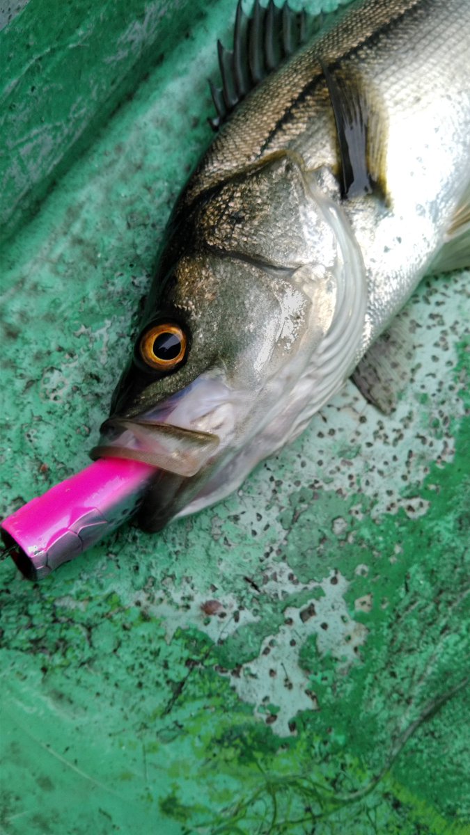 パワースプラッシュ